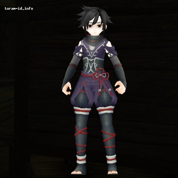 Kostum Ninja