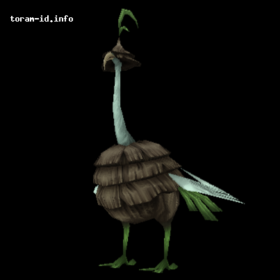 Burung Unta