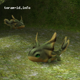 Elizard