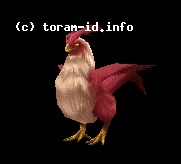 Pojo
