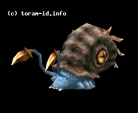Shell Kraken