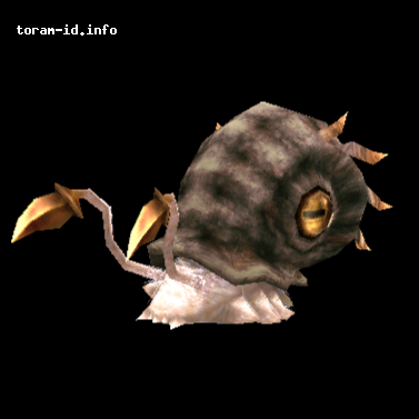 Shell Kraken