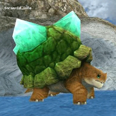 Tortuga