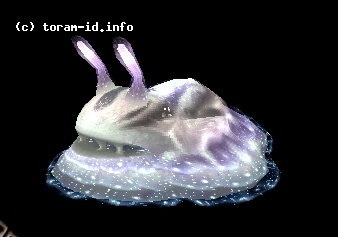 White Jelly